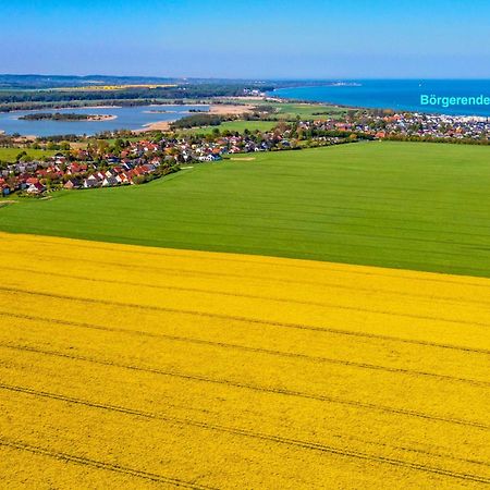 Villa Deichgraf 12 "Meerblick" Borgerende-Rethwisch Bagian luar foto