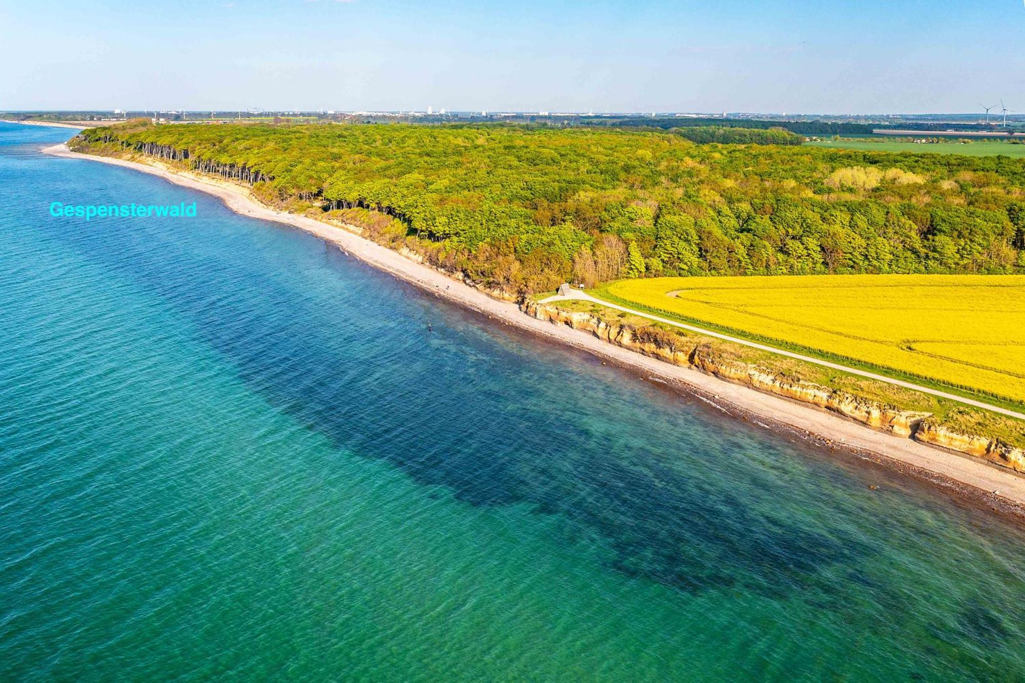 Villa Deichgraf 12 "Meerblick" Borgerende-Rethwisch Bagian luar foto