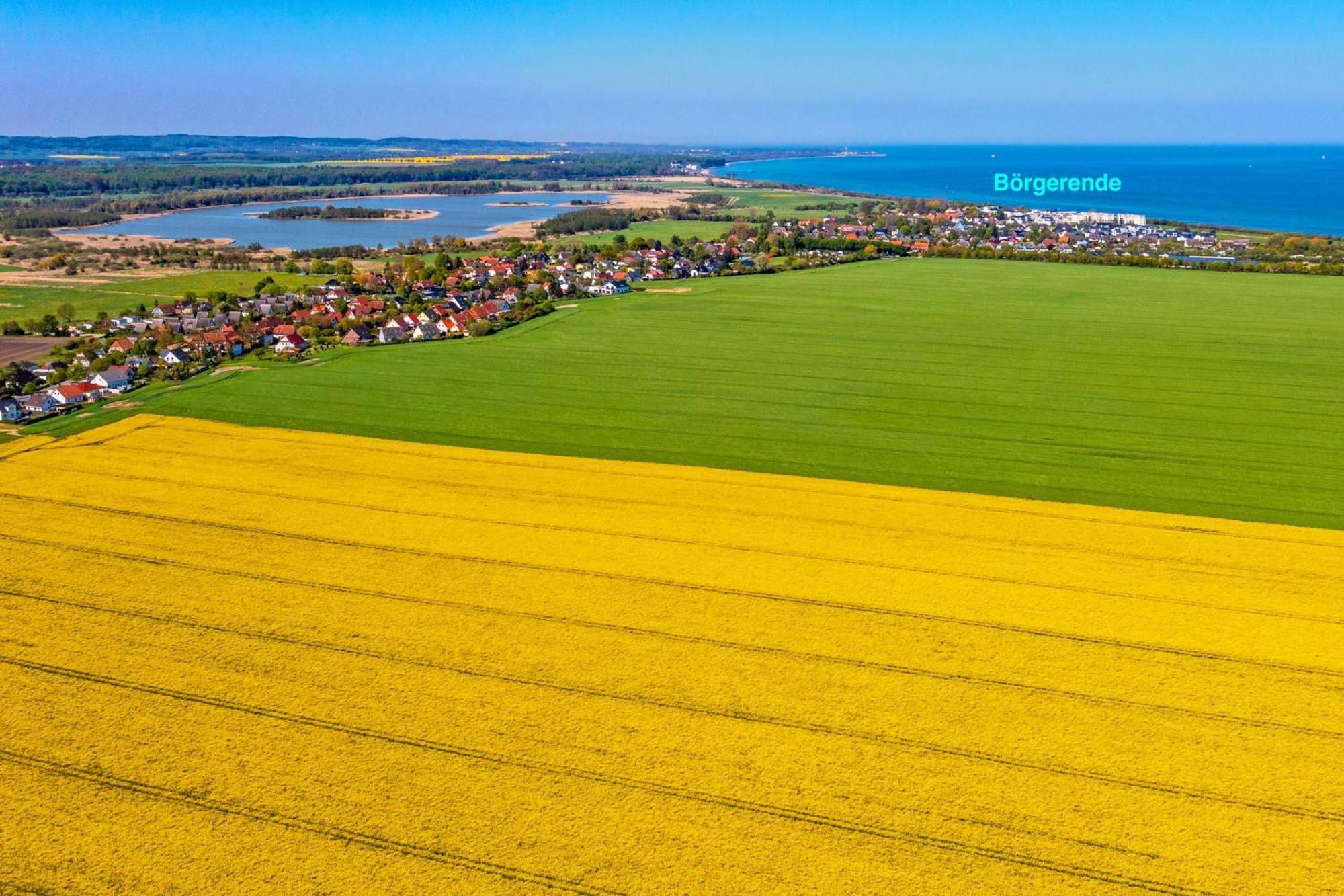 Villa Deichgraf 12 "Meerblick" Borgerende-Rethwisch Bagian luar foto